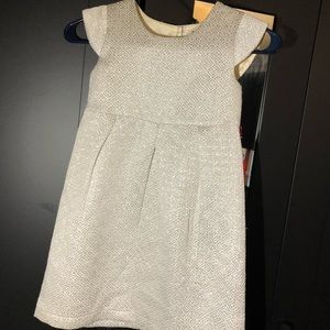 Little girls silver dress